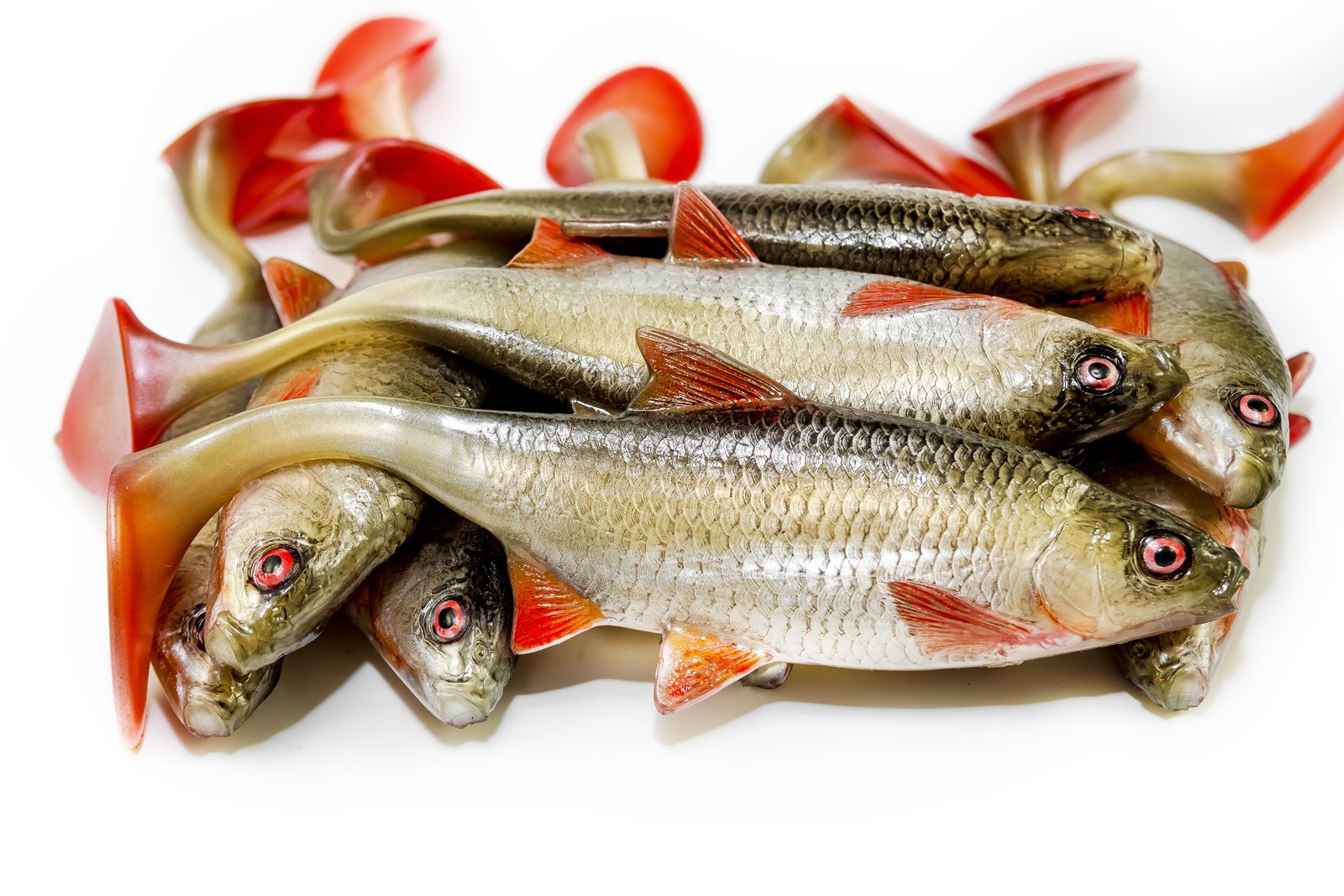 Angry Lures Roach 22cm NOR