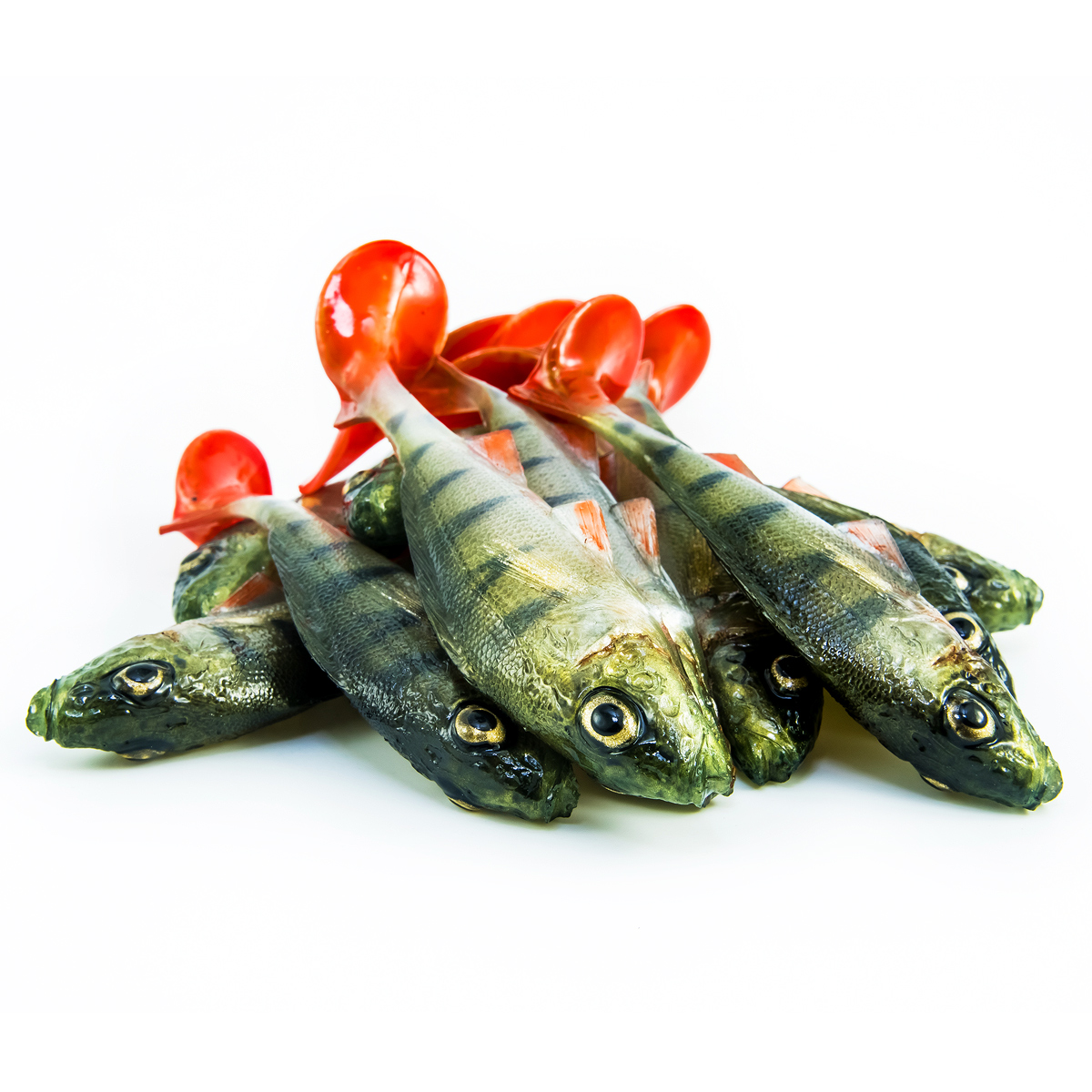 Angry Lures Ruffe 10cm PCH