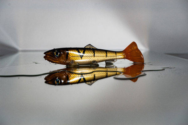 Hostage Valley Troubletail 22cm Transparent Perch