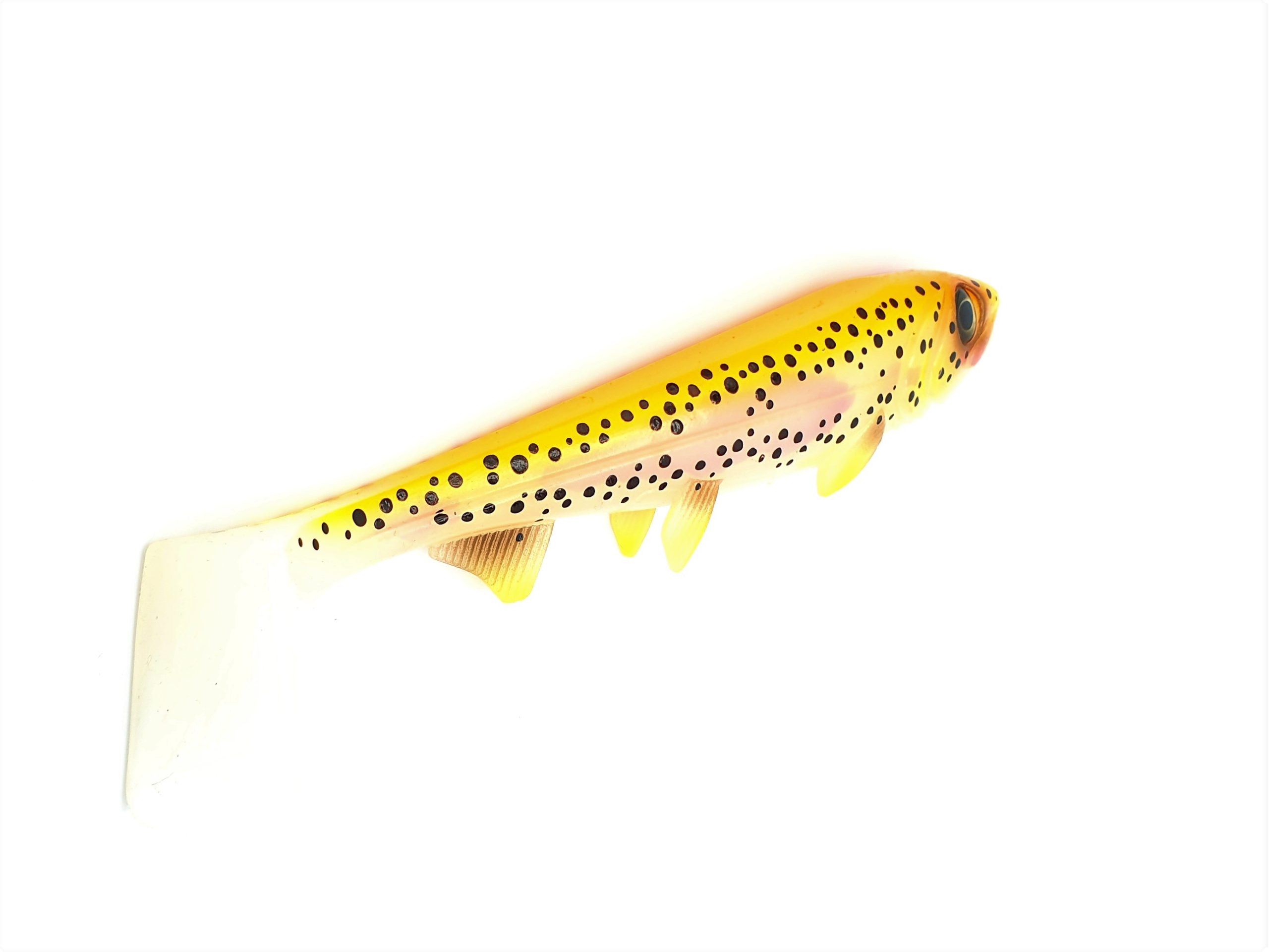 Hostage Valley Shad 26cm Golden Trout