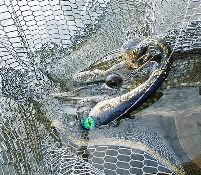 Revolution Tackle Dag Shad 21cm Mad Max II
