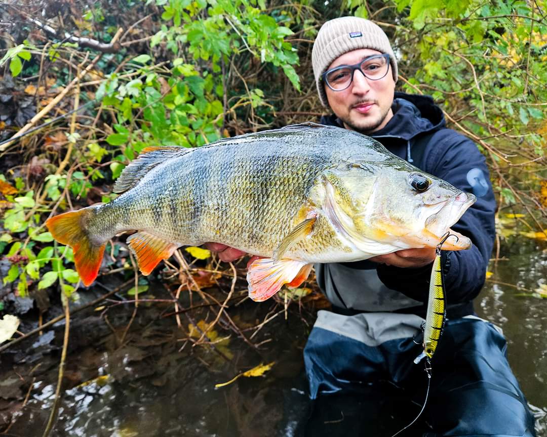 LMAB Kofi Flash Vibe MR 9,8cm Real Perch