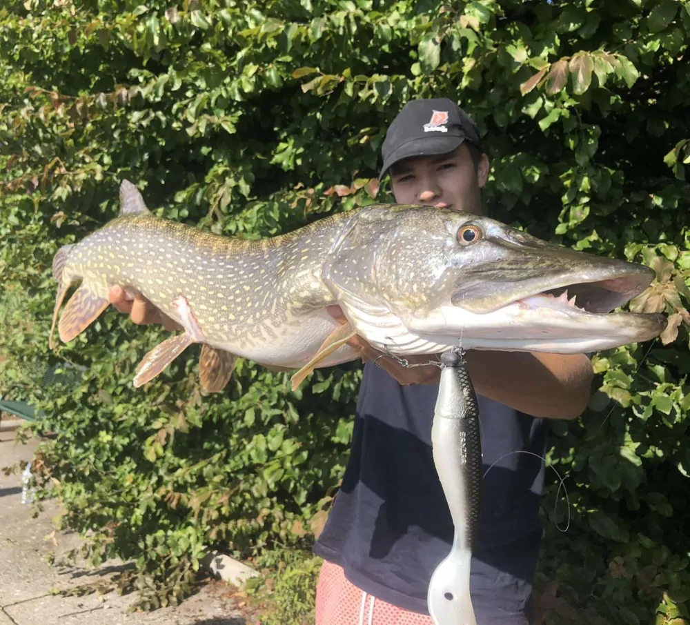 Delalande Sandra 18cm Race Car