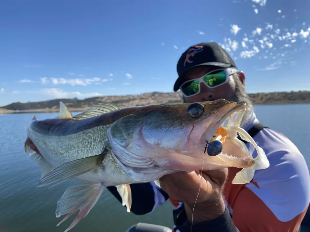 Delalande Neo Frog 18cm Yellow Frog