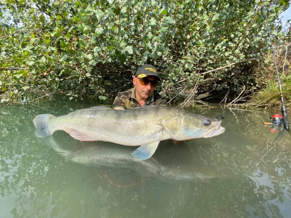 Delalande Skeleton 8cm Jungle