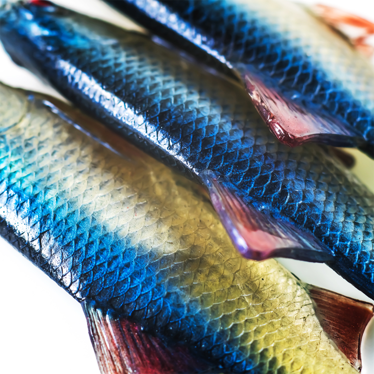 Angry Lures Roach 12,5cm BSW