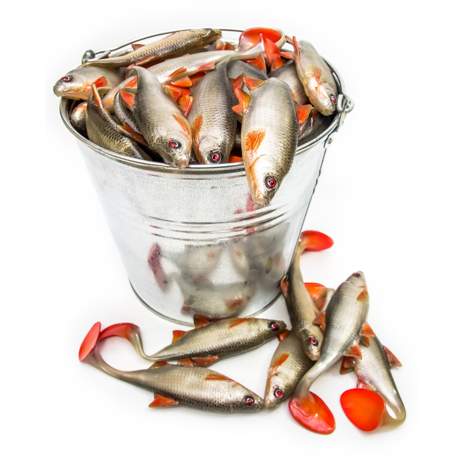 Angry Lures Roach 22cm NOR