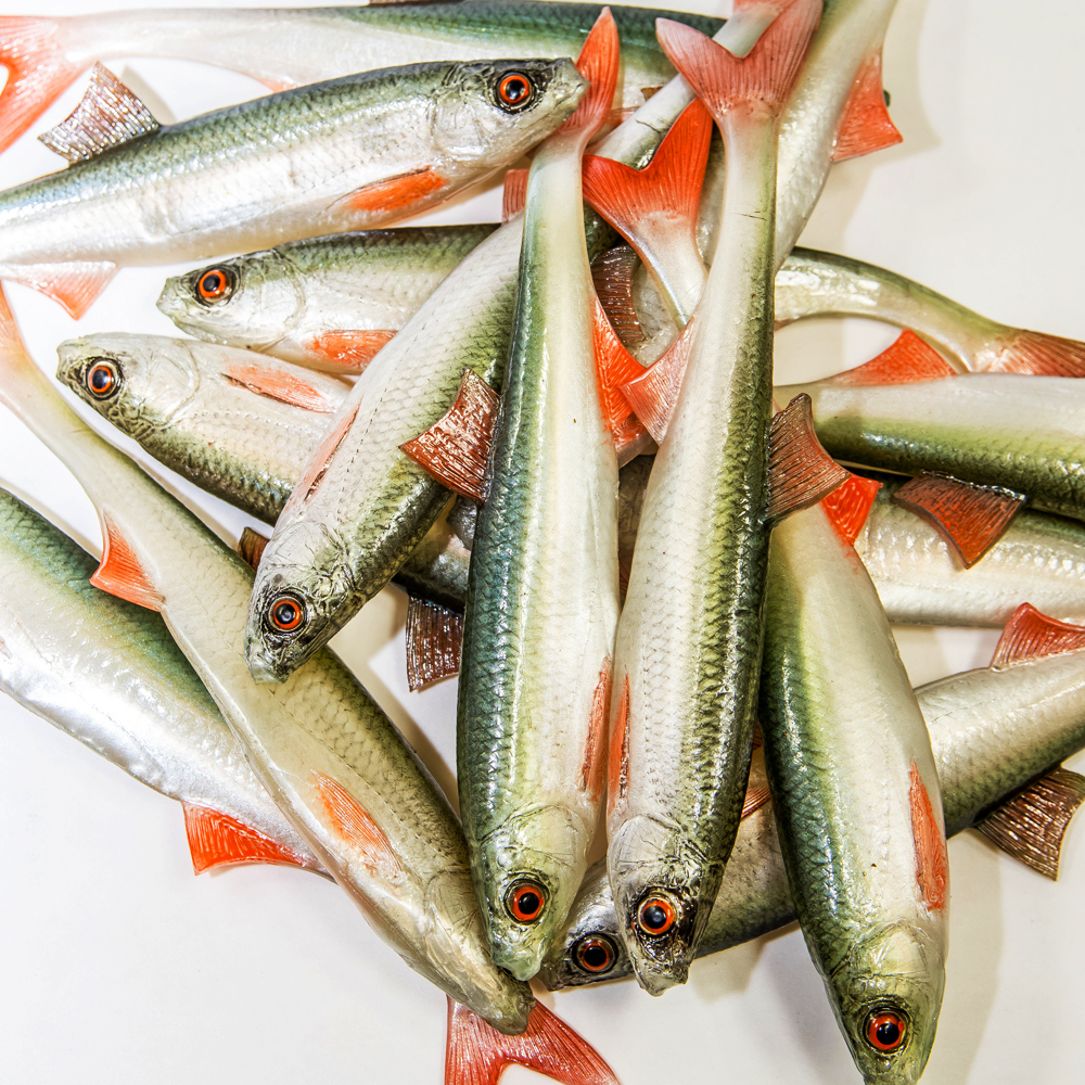 Angry Lures Bleak F-Tail 17cm NOO