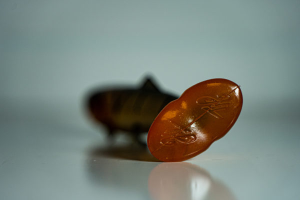 Hostage Valley Troubletail 18cm Transparent Perch