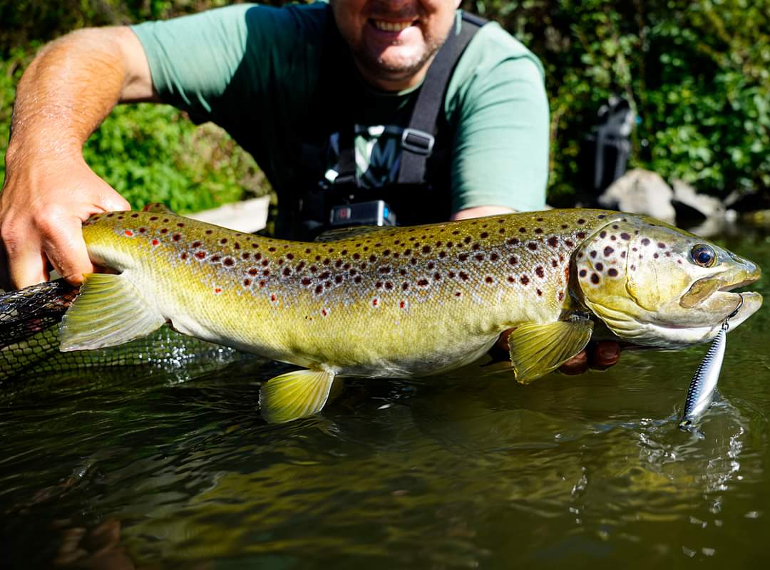 LMAB Kofi Flash Vibe MR 9,8cm Galaxy