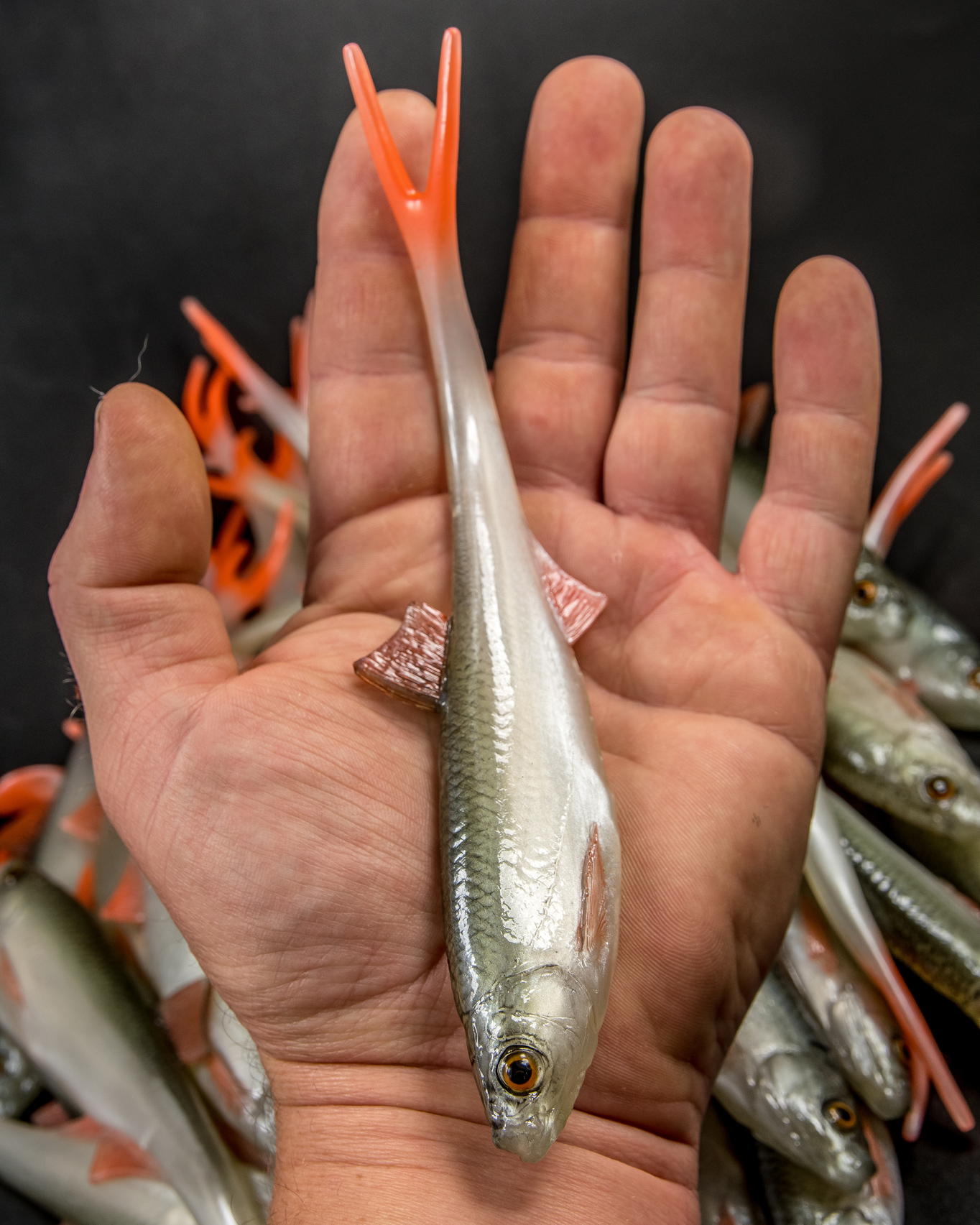 Angry Lures Bleak V-Tail 20cm NOO