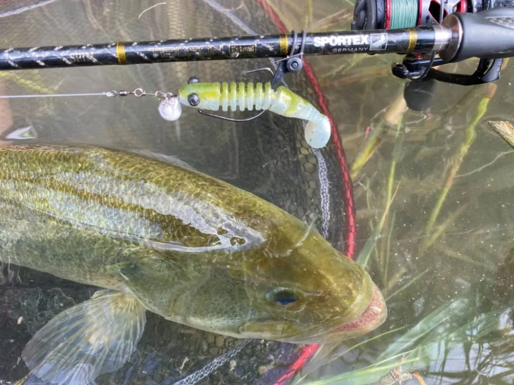 Delalande Skeleton 8cm Jungle