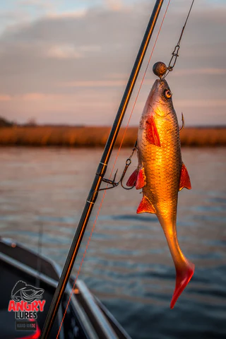 Angry Lures Roach 22cm NOR