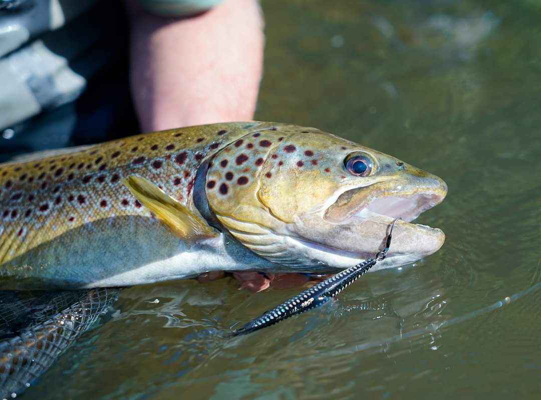 LMAB Kofi Flash Vibe SR 9,8cm Galaxy