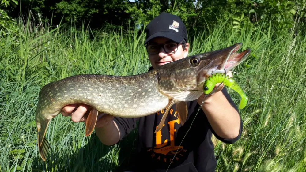 Delalande Skeleton 8cm Jungle