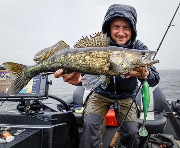 Revolution Tackle Dag Shad 21cm Mad Max II
