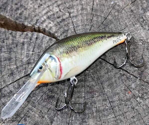 Bonito Płoć 7cm B05 Plovoucí