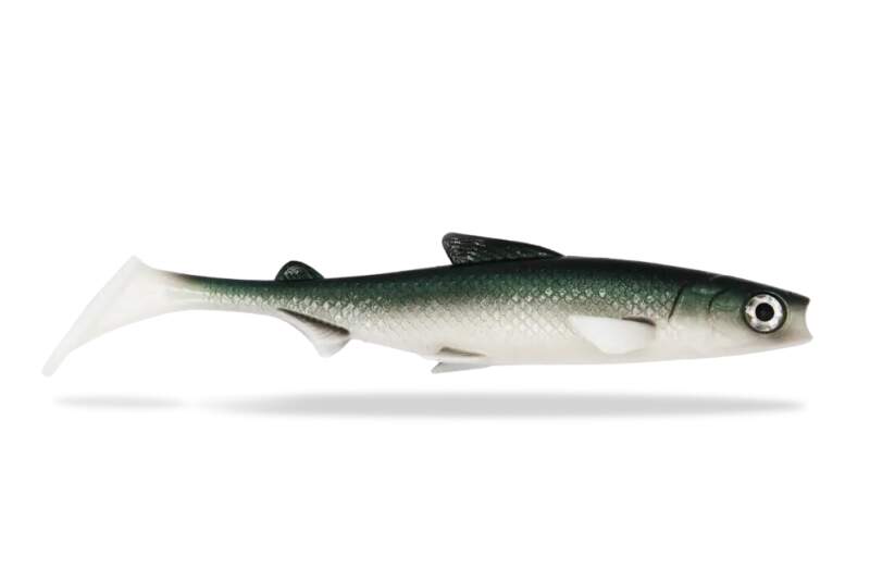 FishingGhost RenkyShad 22cm White Fish
