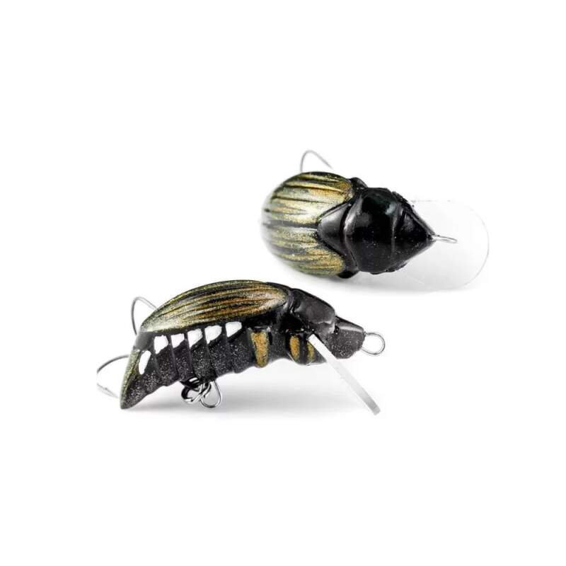 Imago Maybug 3,5cm Surfade