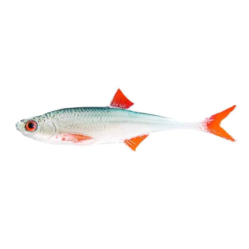 Angry Lures Bleak F-Tail 10cm NBR