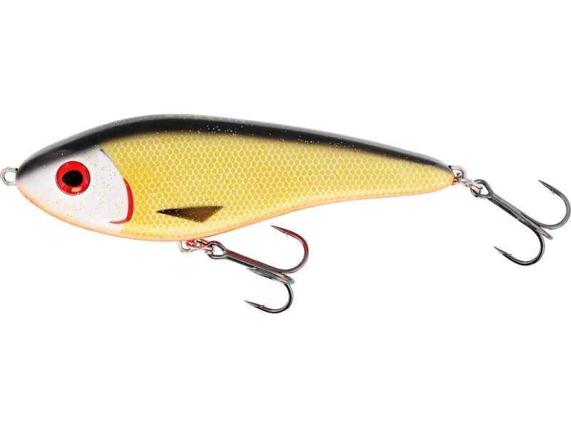 Westin Jerk 14cm Suspending Official Roach
