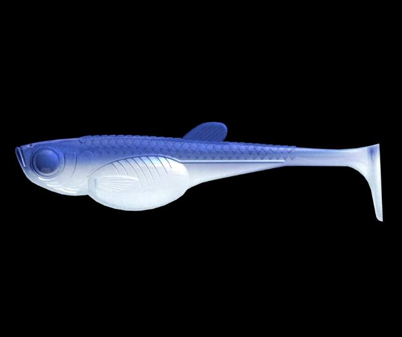 Libra Lures Embrion Shad 15cm 003 Blue Whitefish