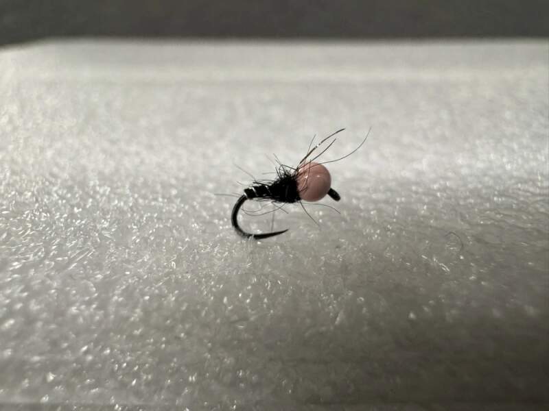 Nymfa Josobela 3 #20 2,3mm