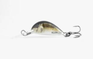 Bonito Kleń 2,5cm G30 Potápivý