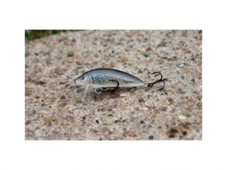 Hegemon Lucky 7,5cm Pstrąg Potokowy Plovoucí