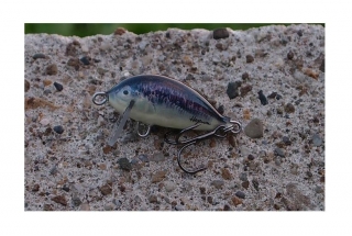 Hegemon Winner 3cm Ciernik Fiolet Potápivý