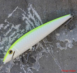 Bonito Ouklej 11cm Plovoucí SFC