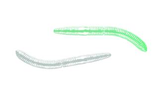 Libra Lures Fatty D´Worm 75mm 000 Glow UV Green Sýr 8ks