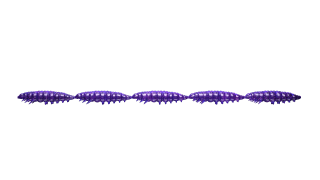 Libra Lures Larva Multi 5x25mm 020 Purple With Glitter Sýr 5ks