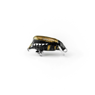 Imago Maybug 2,5cm Dive