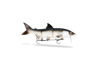 FishingGhost RenkyOne 35cm White Fish