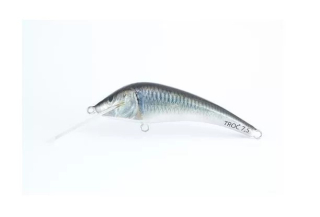 Bonito Troć 7,5cm M34 Plovoucí