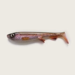 Wolfcreek Shad 30cm Rainbow Trout UV