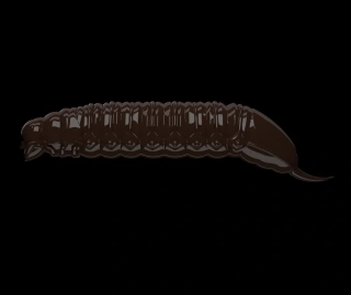 Libra Lures Goliath 30mm 038 Brown Sýr 15ks