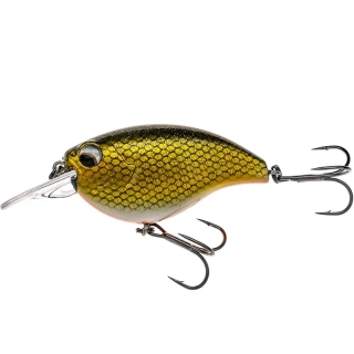 LMAB Kofi Power Vibe SR 5,5cm Golden Roach