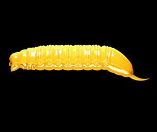 Libra Lures Goliath 30mm 008 Dark Yellow Krill 15ks