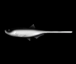 Libra Lures Bleak Slug Tail 21cm 001 White