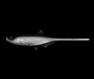 Libra Lures Bleak Slug Tail 21cm 002 Ghost