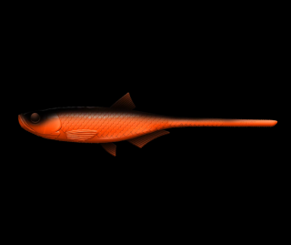 Libra Lures Bleak Slug Tail 21cm 011 Hot Orange