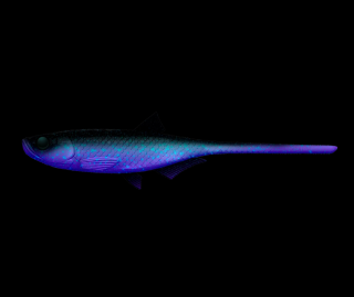 Libra Lures Bleak Slug Tail 21cm 123 Cosmos