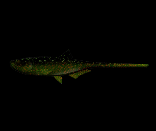 Libra Lures Bleak Slug Tail 21cm 132 MotorOil Green