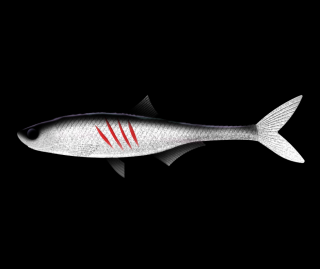 Libra Lures Dead Fish 16,7cm 002 Ghost