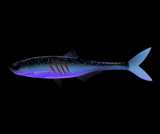 Libra Lures Dead Fish 16,7cm 123 Cosmos