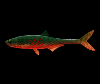 Libra Lures Dead Fish 16,7cm 111 Angry Carrot