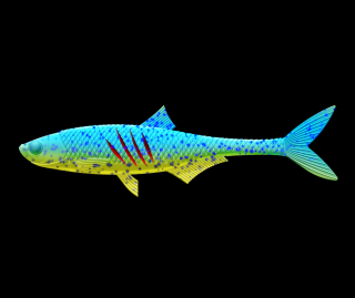 Libra Lures Dead Fish 16,7cm 127 Lime Chartreuse / Blue