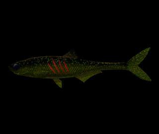 Libra Lures Dead Fish 16,7cm 132 MotorOil Green